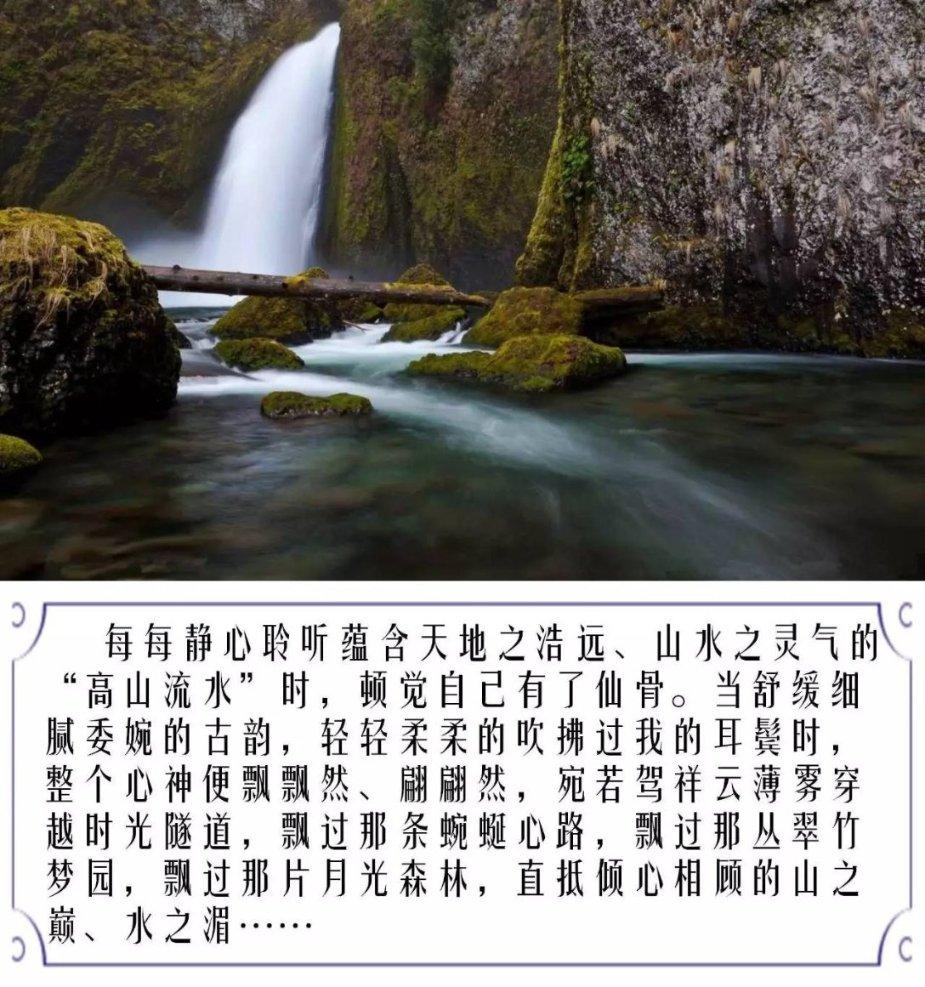 逗小猴开心系列182